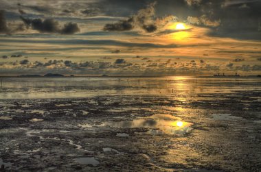 çamurlu mangrov plajda gün batımı