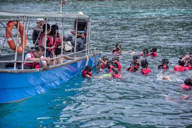 Trengganu, Malezya. 24 Haziran 2019 : Redang Adası Marine Park'ta mavi berrak denizde şnorkelle yüzme faaliyeti. 