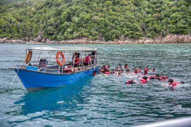 Trengganu, Malezya. 24 Haziran 2019 : Redang Adası Marine Park'ta mavi berrak denizde şnorkelle yüzme faaliyeti. 
