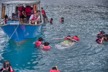 Trengganu, Malezya. 24 Haziran 2019 : Redang Adası Marine Park'ta mavi berrak denizde şnorkelle yüzme faaliyeti. 