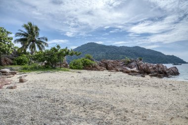 deniz kenarında kayalık plaj 