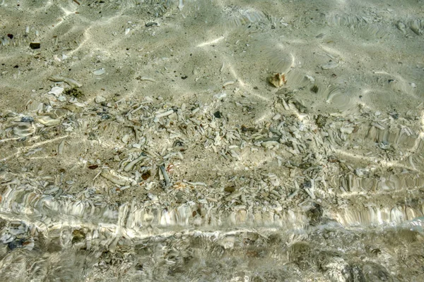 Кристально Чистий Вид Через Водне Узбережжя — стокове фото