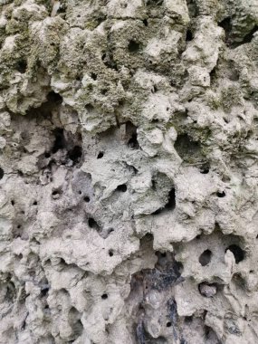 karınca küf tepe yüzey çamur doku