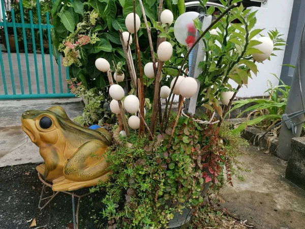 Prázdná Vajíčka Dekoraci Zahrady — Stock fotografie