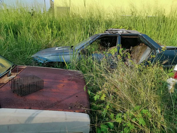 Зруйновані Автомобілі Розростаються Дикими Високими Травами — стокове фото