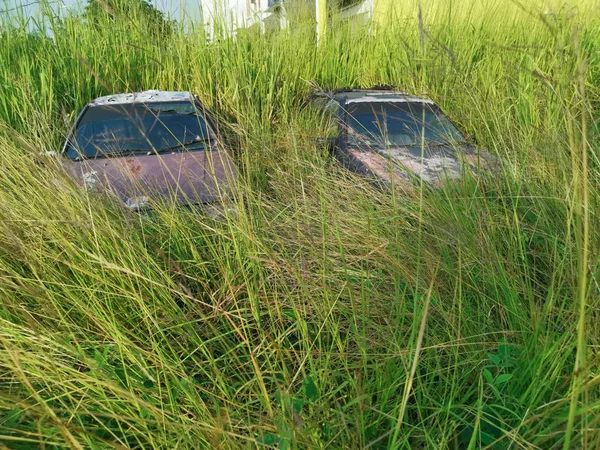 Autowracks Überwuchert Mit Wilden Hohen Gräsern — Stockfoto