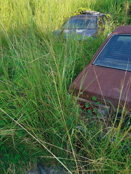Wreckage Cars Overgrowth Wild Tall Grasses — Stock Photo, Image