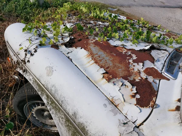 Руйнування Старого Автомобіля Диким Листям — стокове фото