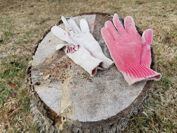 old thrown away cloths glove left on the chopped tree trunk.