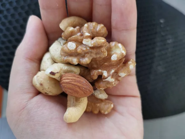 Holding Edible Roasted Cashew Nut Walnut Almond — Stock Photo, Image
