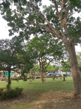 sessiz güzel kamu parkta sahne