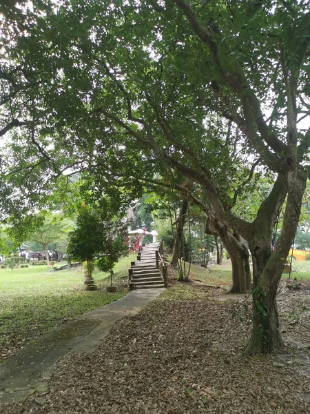 Scène Het Rustige Mooie Openbare Park — Stockfoto