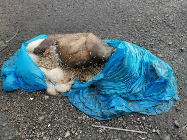 tanınmayan hayvan polisler kısmen yol kenarında bulunan plastik sarılmış 