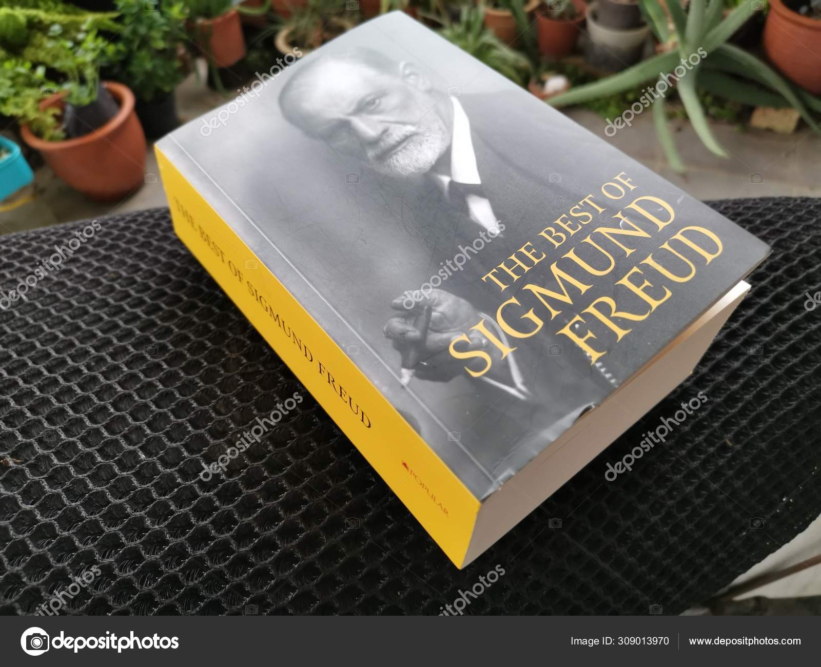 Perak Malaysia September 19 Displays Sigmund Freud Book Left Residential Stock Editorial Photo C Sweemingyoung Perak Malaysia September 19 Displays Sigmund Freud Book Left Residential Stock Editorial Photo C Sweemingyoung