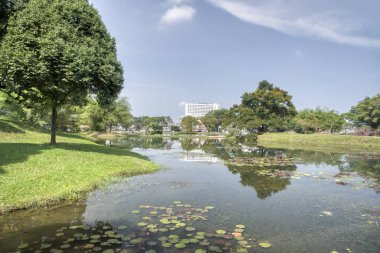 Perak, Malezya. 16 Eylül 2019: Taiping Lake Garden Park'ta sakin vakit geçirmenin keyfini çıkaran insanların huzur ve güzel sahneleri.