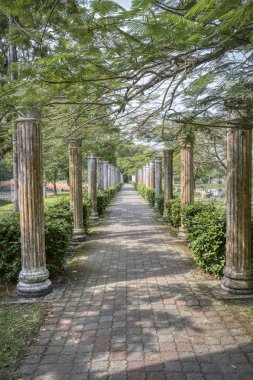 Sessiz gölde yeşillik yeşillik sahnesi.