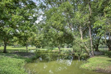 Sessiz gölde yeşillik yeşillik sahnesi.