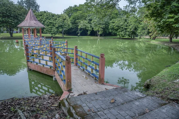 Verde Escena Follaje Lago Tranquilo — Foto de Stock