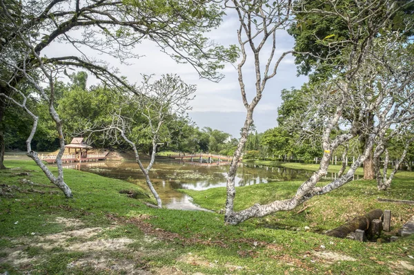 Scène Verdure Feuillage Lac Calme — Photo