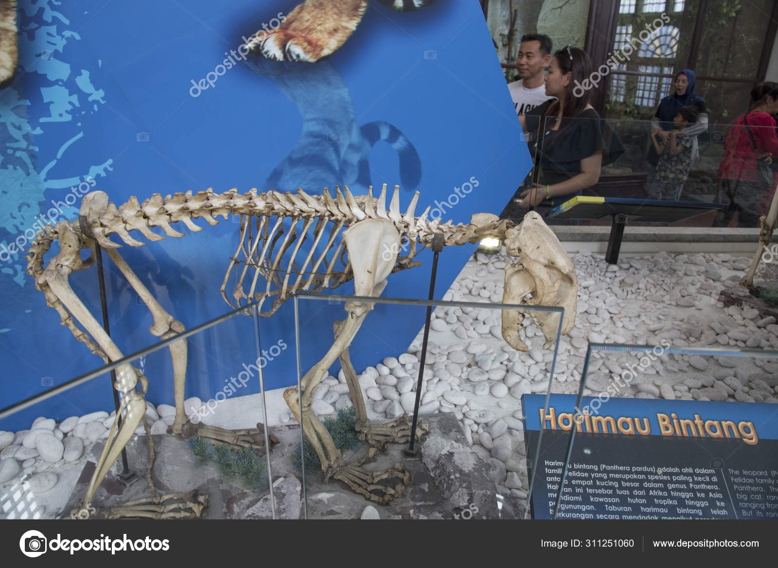 1,132 Taiping Stock Photos, Taiping Images  Depositphotos®