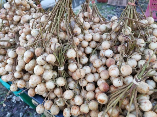 Baccarea Motleyana Fruta Venta —  Fotos de Stock