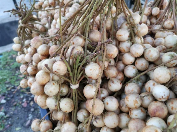 Baccarea Motleyana Fruta Venta —  Fotos de Stock