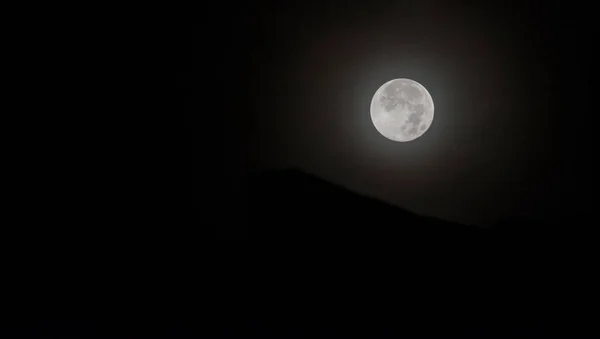 Ver Luna Noche Través Silueta Las Hojas —  Fotos de Stock