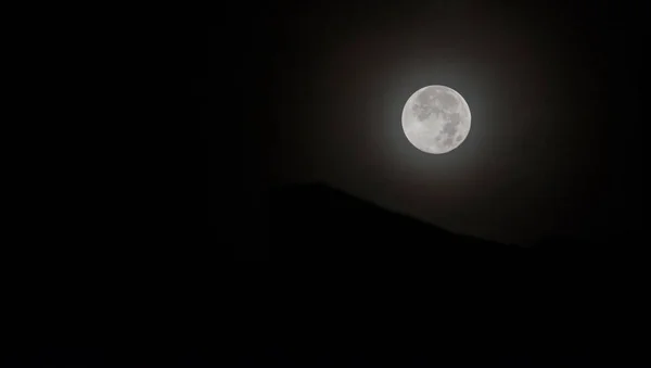 Melihat Bulan Malam Melalui Siluet Daun — Stok Foto