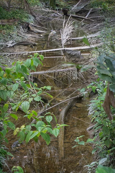 Man Made Simple Drainage System Farm — Stock Photo, Image