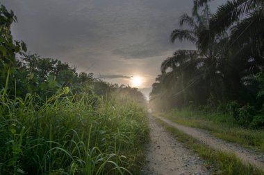 Sabahın erken saatlerinde Asya kırsalında