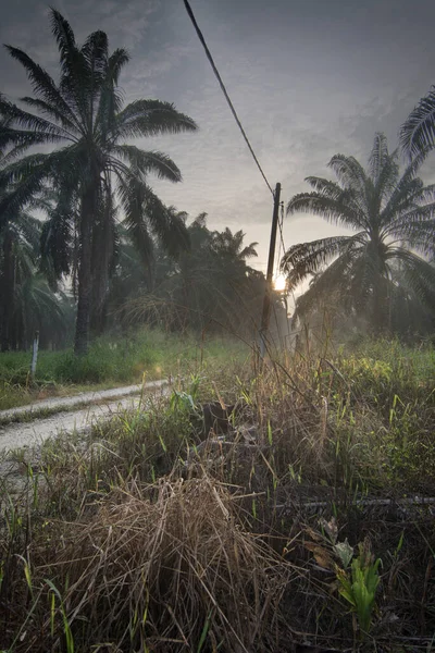 アジアの田舎での早朝の光景は — ストック写真