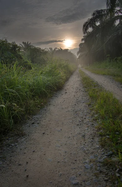 Sabahın erken saatlerinde Asya kırsalında