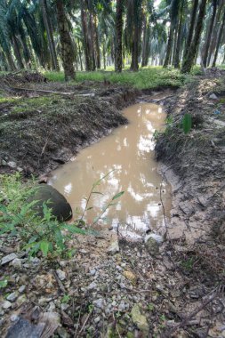 Çiftlikteki drenaj yağmur suyu sistemi