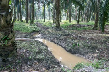 Çiftlikteki drenaj yağmur suyu sistemi