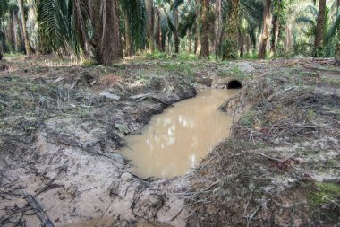 Çiftlikteki drenaj yağmur suyu sistemi