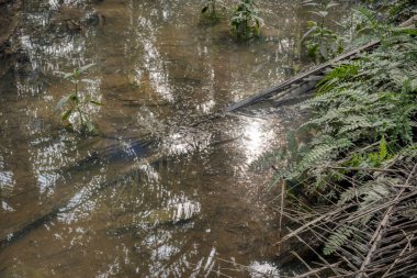 Çiftlikteki drenaj yağmuru akıntısı manzarası