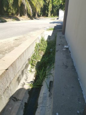 Bakımsız drenaj aşırı büyümeyle durgun.