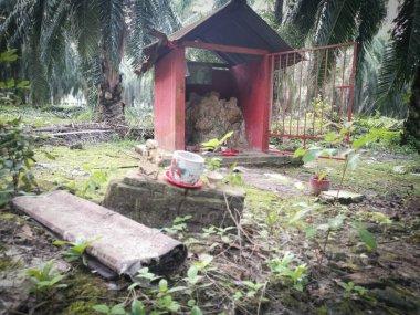 Perak, Malezya. 22 Haziran 2020: Kg Koh Palm Petrol Çiftliği 'ndeki toprak tanrısına saygı göstermek için çiftlik içine beton minyatür sunak inşa edildi.