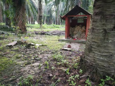 Perak, Malezya. 22 Haziran 2020: Kg Koh Palm Petrol Çiftliği 'ndeki toprak tanrısına saygı göstermek için çiftlik içine beton minyatür sunak inşa edildi.