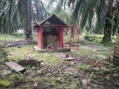 Perak, Malezya. 22 Haziran 2020: Kg Koh Palm Petrol Çiftliği 'ndeki toprak tanrısına saygı göstermek için çiftlik içine beton minyatür sunak inşa edildi.