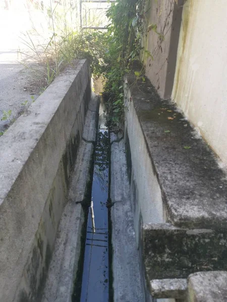 Ungepflegte Entwässerung Stagniert Mit Überwucherung — Stockfoto