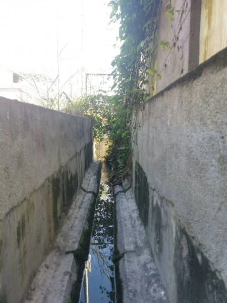 Ononderhouden Drainage Stagneert Met Overgroei — Stockfoto