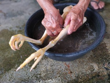 Pişirmeden önce çiğ tavuk yıka.