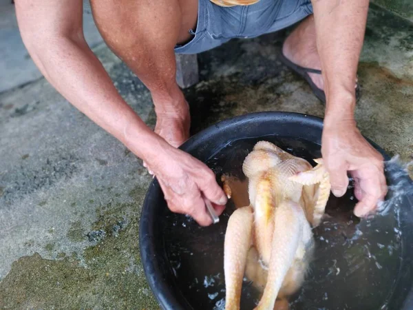 Rohe Schlachthühner Vor Dem Kochen Waschen — Stockfoto