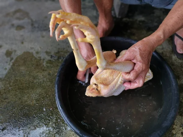 Rohe Schlachthühner Vor Dem Kochen Waschen — Stockfoto