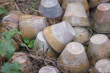 Birçok yere atılmış lateks seramik kap