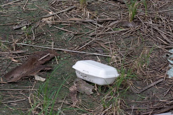 Disposé Sale Boîte Polystyrène Élevage Sur Sol Pour Les Moustiques — Photo