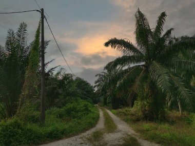 Gökyüzü sahnesi yol uzaklığa doğru azalıyor