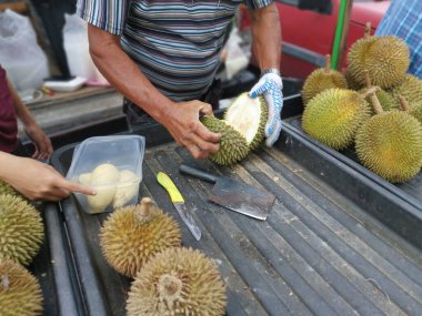 Satıcı konteynıra koymak için Durian eti kesti