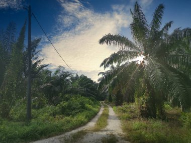 Manzaralı Gökyüzü Uzaklara doğru azalan bir yol